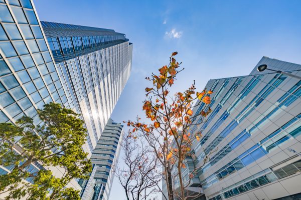 Commercial Property Appraisal in American Fork
